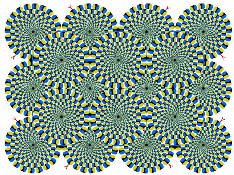 23.gif