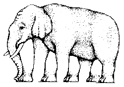7.gif