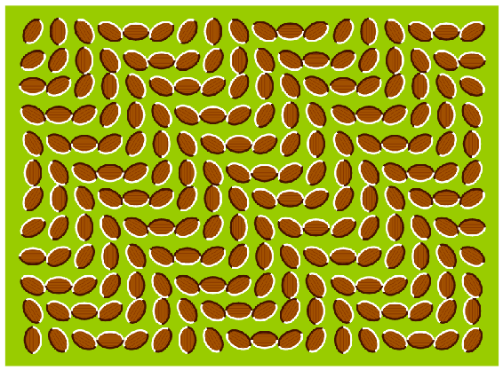 10.gif